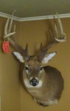 2017 Buck Mount Mod 01.JPG