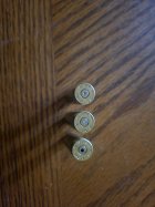 20250308_111721.jpg