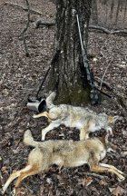 IMG_9499.jpeg