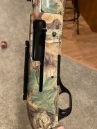 IMG_3595.jpeg