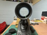 IMG_7076.jpeg