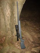 Smokeless Muzzleloader (Whidden Composites).jpg