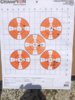American pred post stock mod.JPG