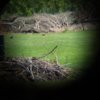 20170529_125338.jpg