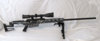 .308 redux.jpg