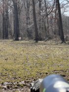 IMG_7726.jpeg