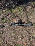 IMG_7732.jpeg