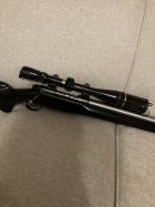 IMG_1057.jpeg