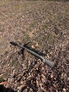 IMG_7735.jpeg