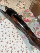 IMG_2543.jpeg