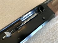 IMG_7707.jpeg