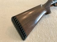 IMG_7674.jpeg