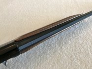 IMG_7681.jpeg