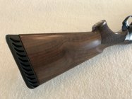 IMG_7685.jpeg