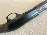 IMG_7686.jpeg