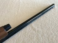 IMG_7688.jpeg