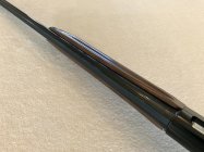 IMG_7697.jpeg