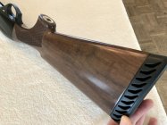 IMG_7700.jpeg