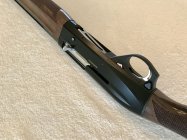 IMG_7701.jpeg