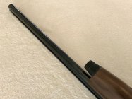 IMG_7704.jpeg