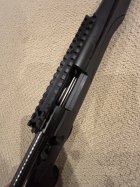 IMG_6436.jpeg