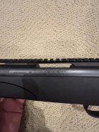 IMG_6437.jpeg