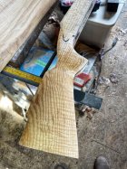 IMG_7466.jpeg
