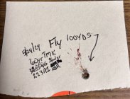 IMG_0364.jpeg