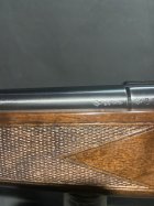 IMG_2930.jpeg