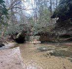 IMG_5090.jpeg