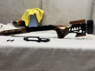 IMG_1236.jpeg