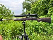IMG_7291.jpeg