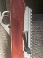 IMG_0263.jpeg