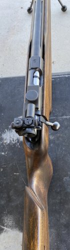 IMG_6255.jpeg