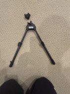 IMG_6463.jpeg