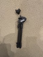 IMG_6461.jpeg