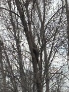IMG_6674.jpeg