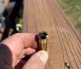 IMG_6609.jpeg