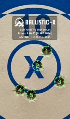 Ballistic-X-Export-2022-03-09 22:23:41.812816.jpg