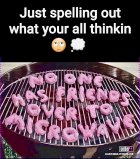 IMG_4124.jpeg