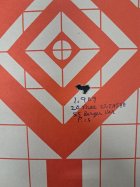 20 Practical 55 Berger Var 1.909.jpg