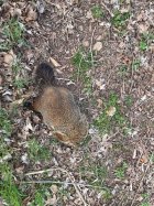 IMG_0964.jpg