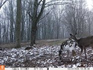 IMAG0046.JPG