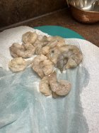 IMG_8593.jpeg