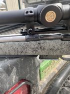 IMG_7844.jpeg