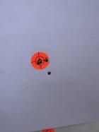 IMG_7845.jpeg