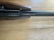IMG_3847.jpeg