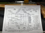 IMG_6204.jpeg
