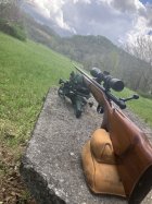 IMG_8541.jpeg