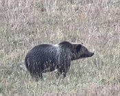 IMG_7545.jpeg